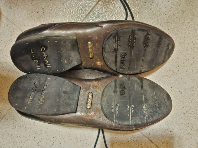 Zapatos Scholl