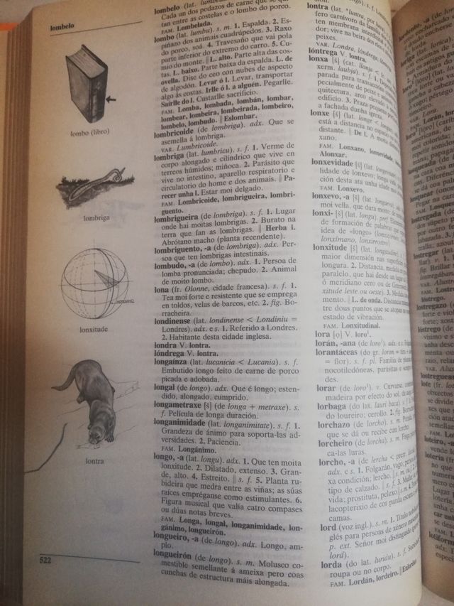 Diccionario Xerais da Lingua. Ares Vázquez María 