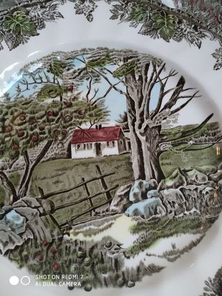 Johnson Bros X 6, Nuevos 26,5 cm.