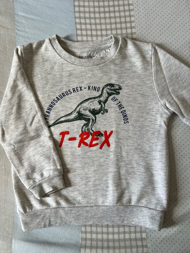 Sudadera Dinosurio de Primark