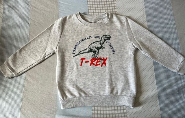 Sudadera Dinosurio de Primark