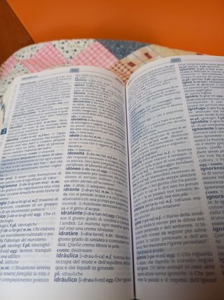 Dizionario lingua italiana 