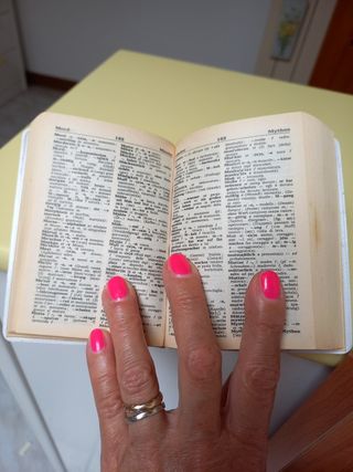 Dizionario lingua tedesco
