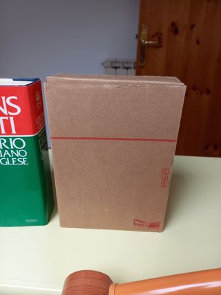 Dizionario lingua inglese- italiano 