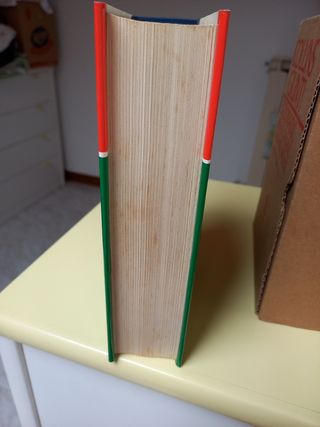 Dizionario lingua inglese- italiano 