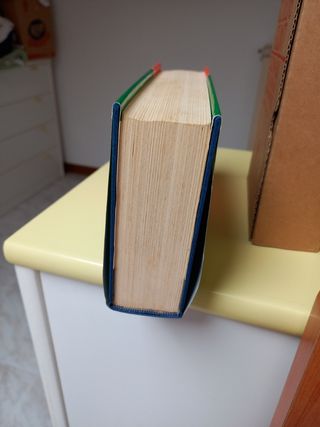 Dizionario lingua inglese- italiano 