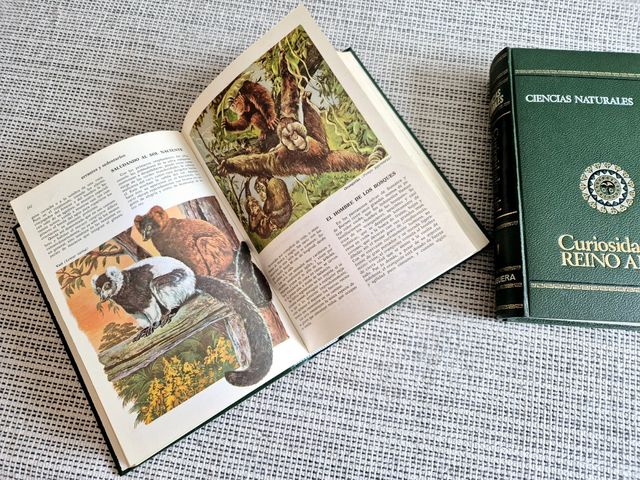 CURIOSIDADES DEL REINO ANIMAL