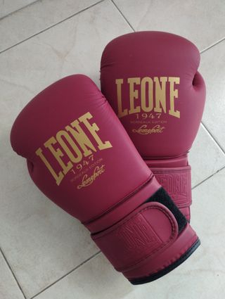 Guantes boxeo 10oz