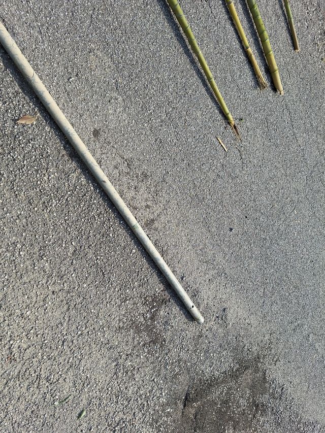 Palo trovato in un fosso