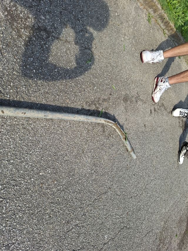 Palo trovato in un fosso