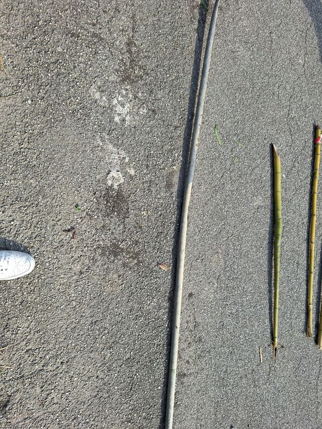 Palo trovato in un fosso