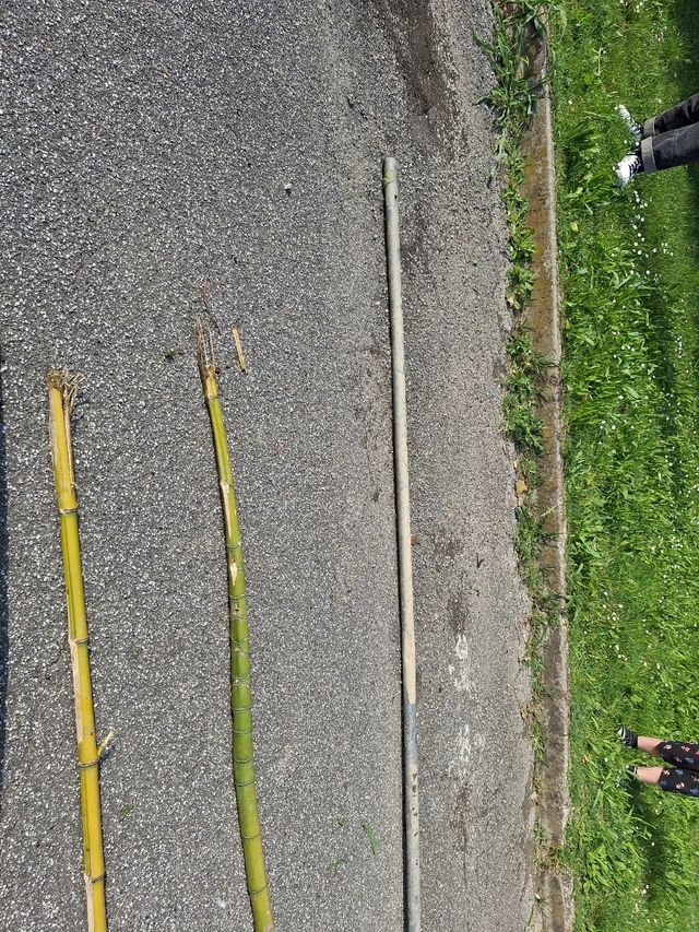 Palo trovato in un fosso