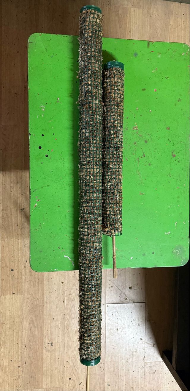 Tutor de musgo sphagnum.