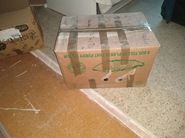 Escalextric Digi Pro Artin