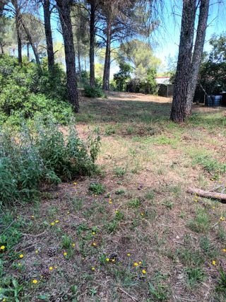 Parcela en trassierras