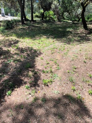 Parcela en trassierras