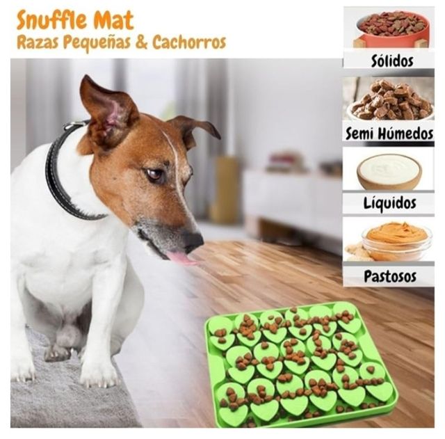 Mangiatoia per cani PROMOZIONE.