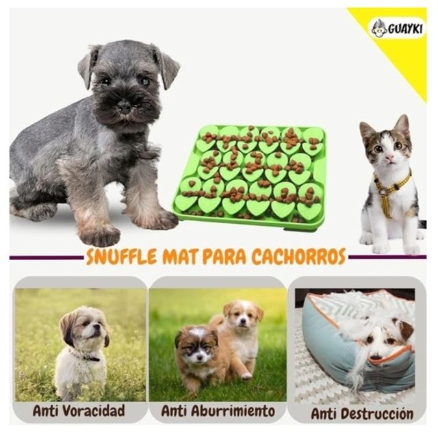 Mangiatoia per cani PROMOZIONE.