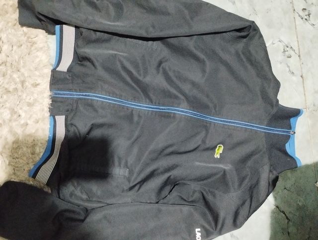 Chaqueta lacoste