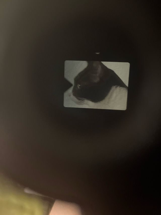 SUPER 8 / Chinon 313P XL