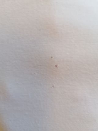 Maglia cotone con pantera rosa tg 42