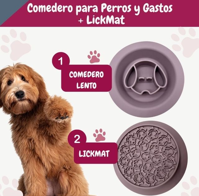 Mangiatoia per cani e gatti. PROMOZIONE.