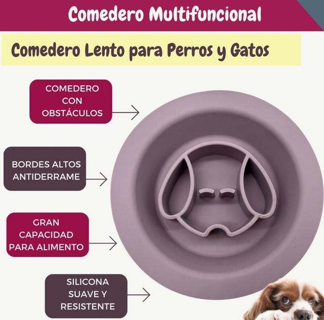 Mangiatoia per cani e gatti. PROMOZIONE.