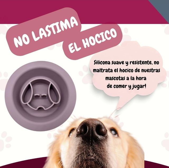 Mangiatoia per cani e gatti. PROMOZIONE.