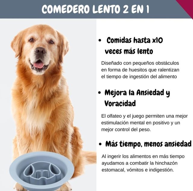 Mangiatoia per cani e gatti. PROMOZIONE.