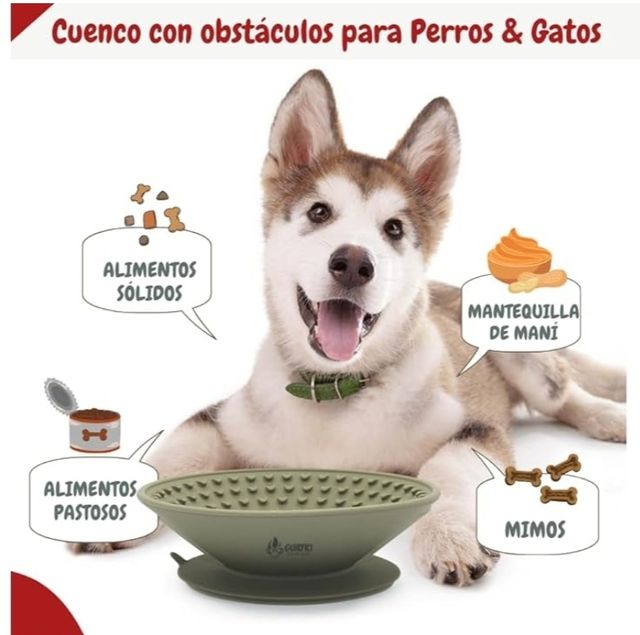 Piatto di cibo per cani. 🐕 NUOVO