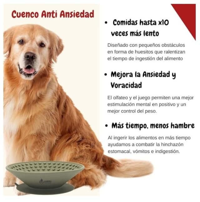 Piatto di cibo per cani. 🐕 NUOVO