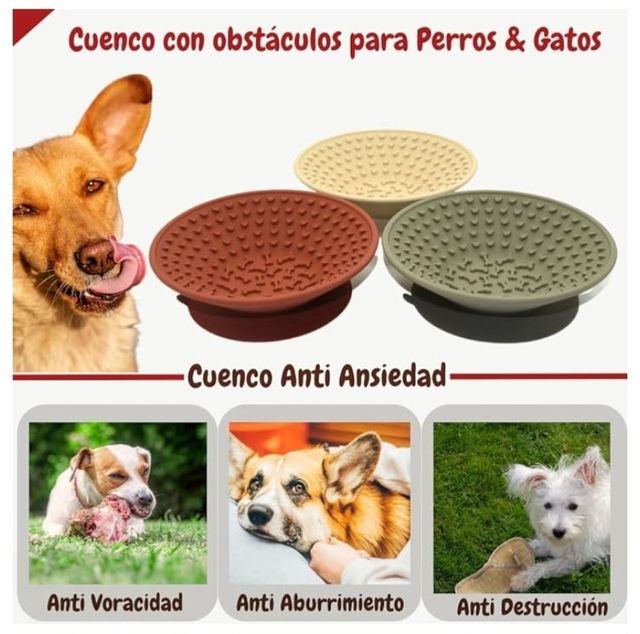 Piatto di cibo per cani. 🐕 NUOVO