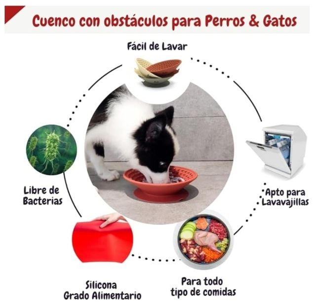 Piatto di cibo per cani. 🐕 NUOVO