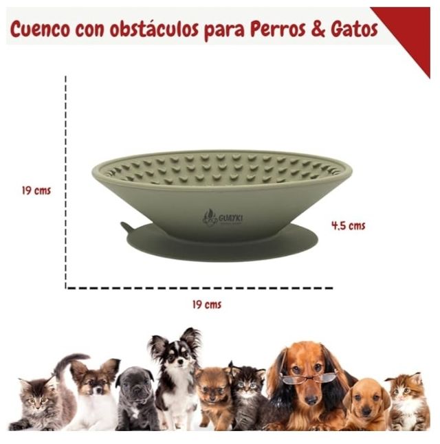 Piatto di cibo per cani. 🐕 NUOVO