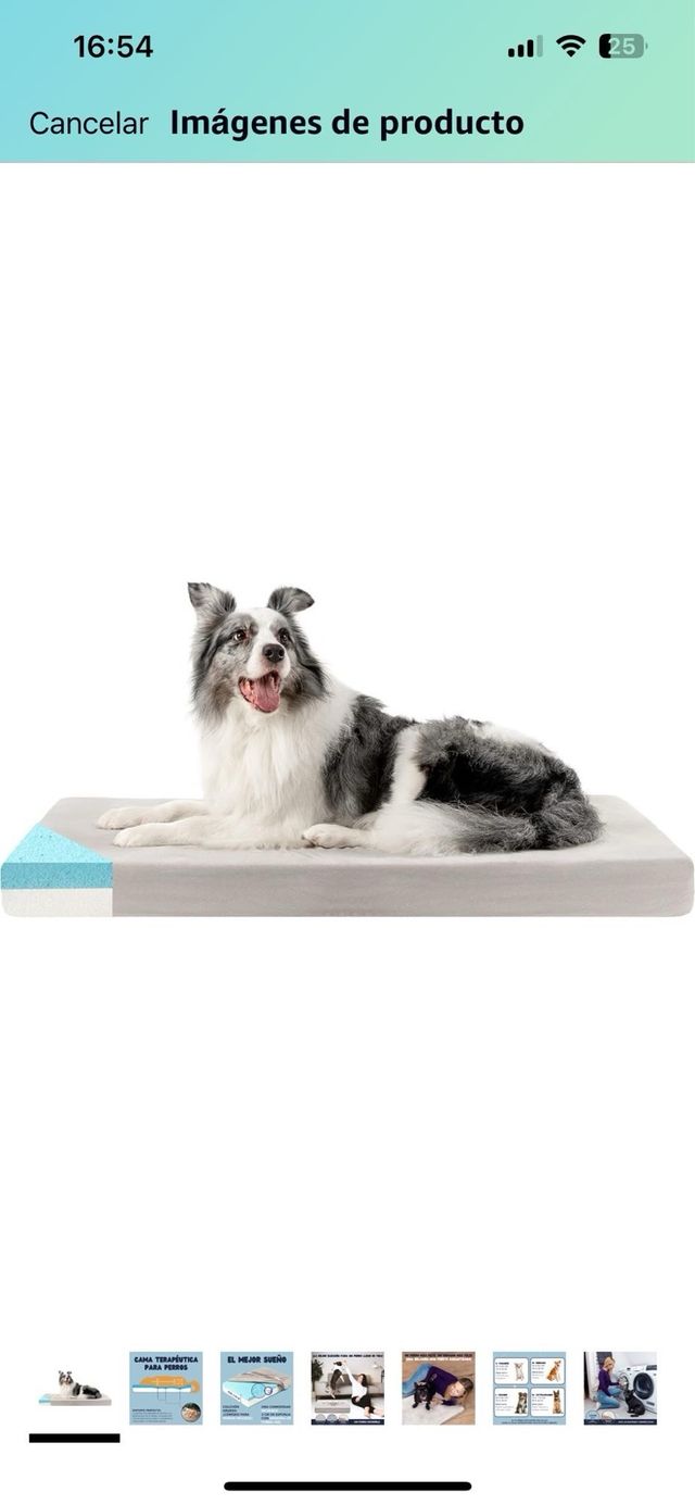 Cama transpirable perro