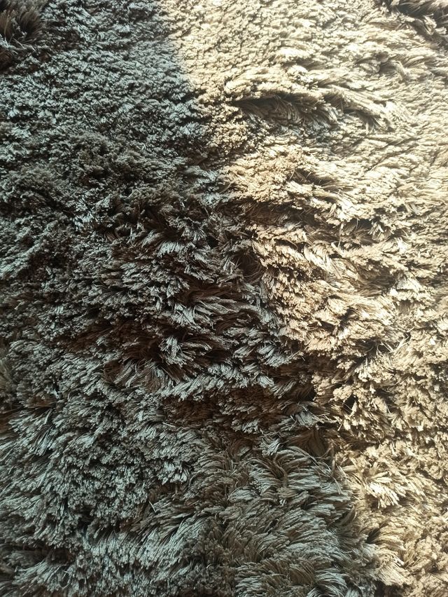 Alfombra color visón