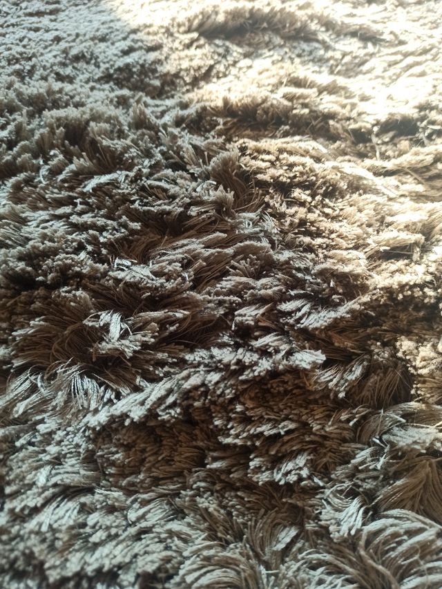 Alfombra color visón