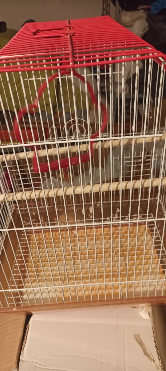 Voliera per uccelli buone condizioni