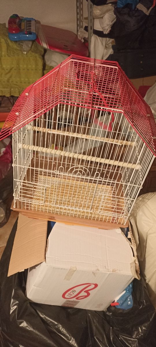 Voliera per uccelli buone condizioni