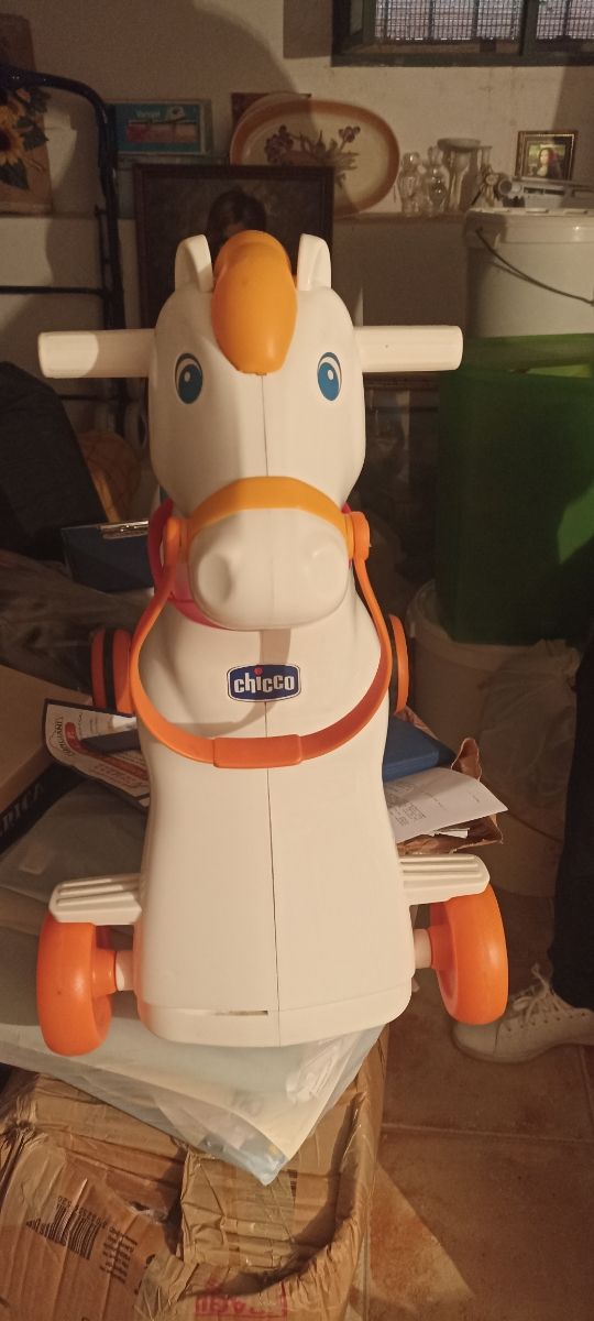 Cavallino rodeo chiccho