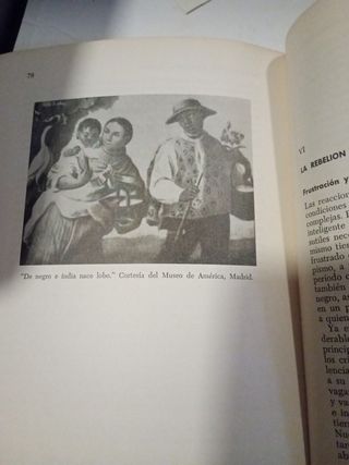 Libro sobre las razas