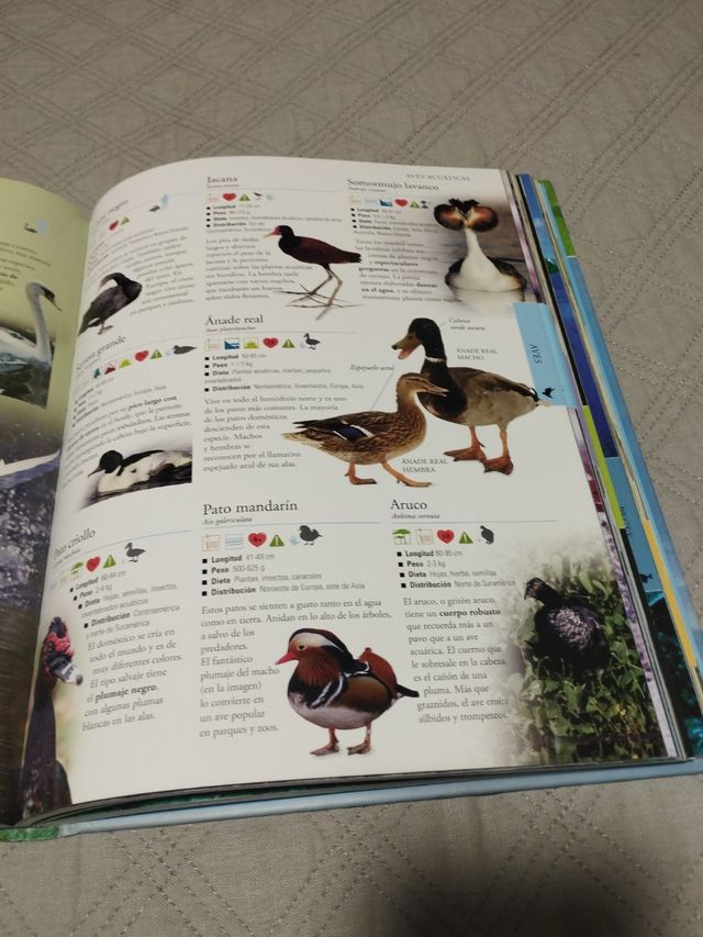 Enciclopedia completa de los animales 