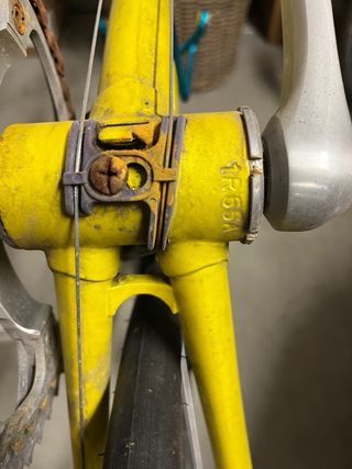 Bici da corsa Francesco Moser