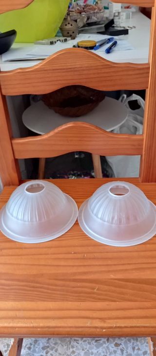 2 Tulipa, + 2 Tulipa LOTE 30€