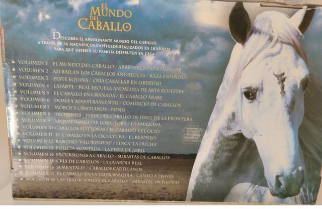 El mundo del caballo.
