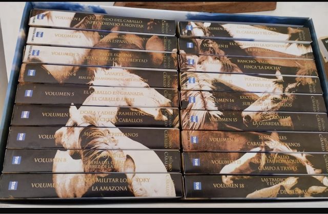 El mundo del caballo.