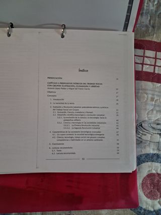 Trabajo social con grupos libro