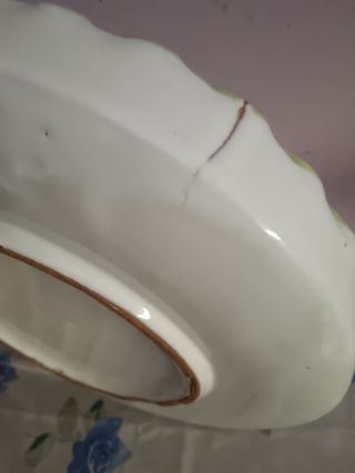 Piatto in ceramica dipinto a mano vinta