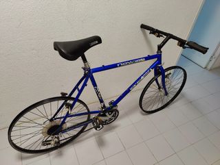 Bicicleta BH New Sherpa