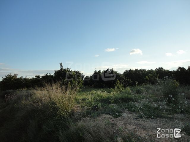 FINCA RUSTICA O CAMPO EN ALFARP